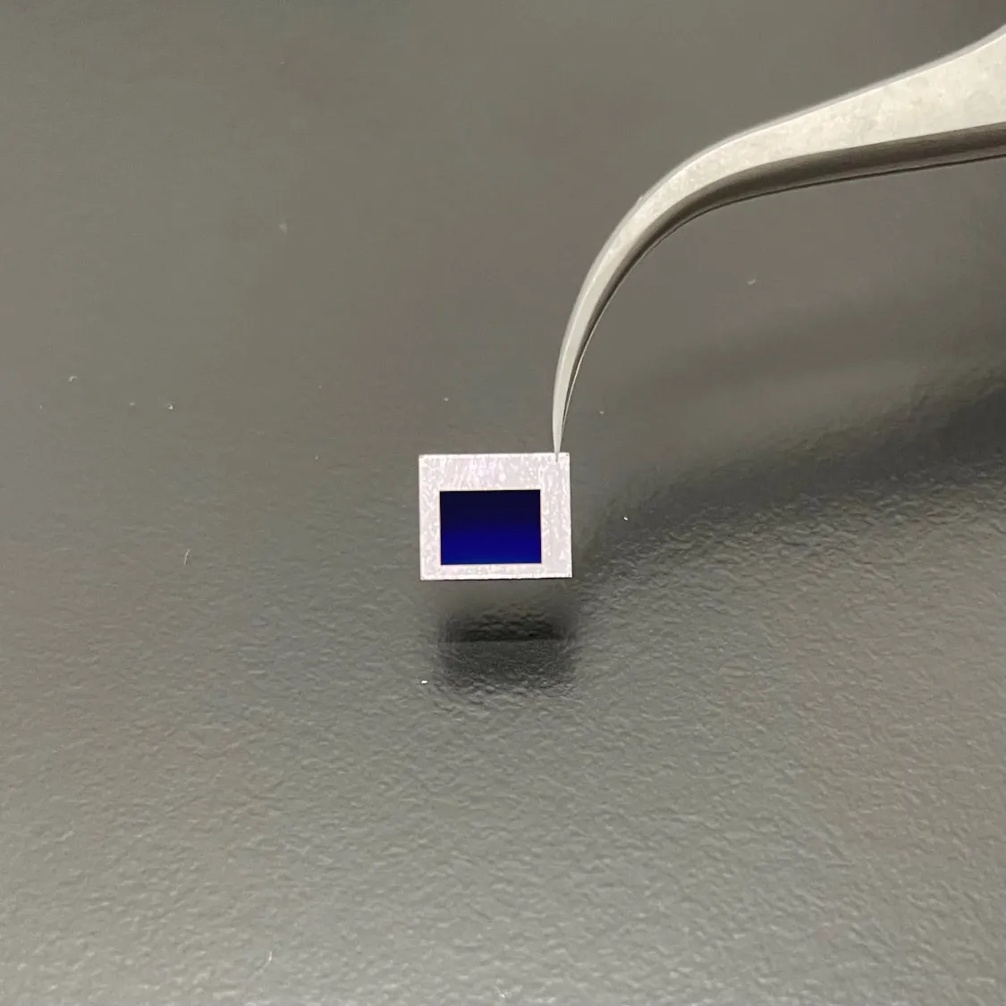 レンズ不要の顕微観察チップ「MID(マイクロイメージングデバイス)」